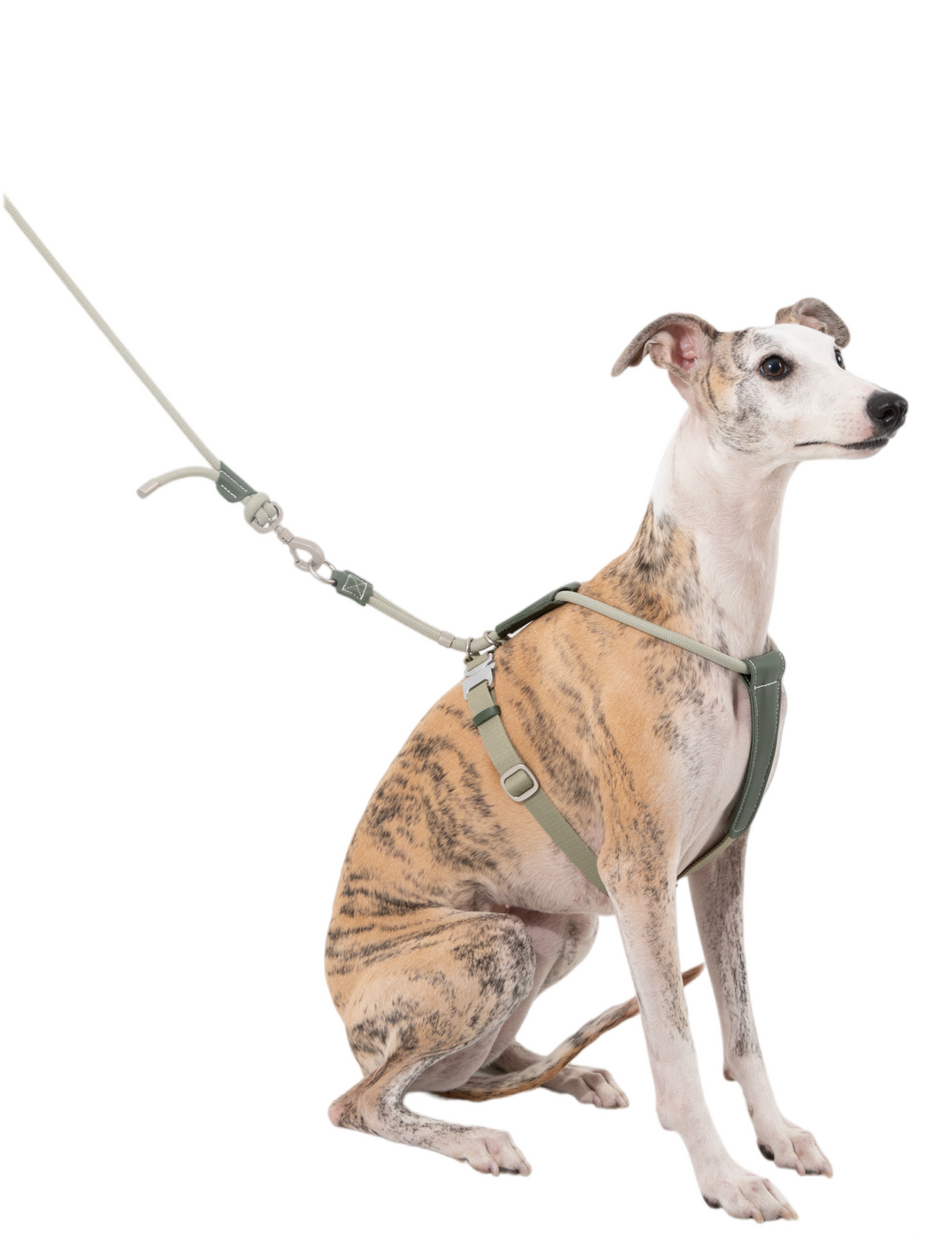 POMI Gravity Rope Lead