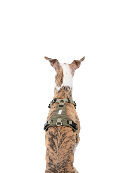 POMI Motion Balance Harness