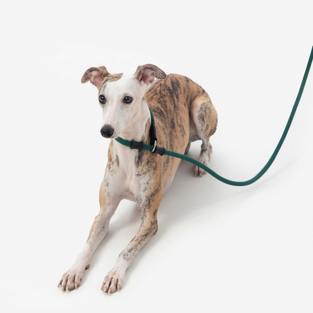 POMI Gravity Flex Control Lead