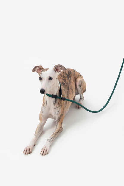 POMI Gravity Flex Control Lead