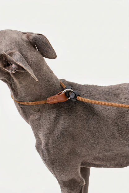 POMI Gravity  StrongGrip Lead