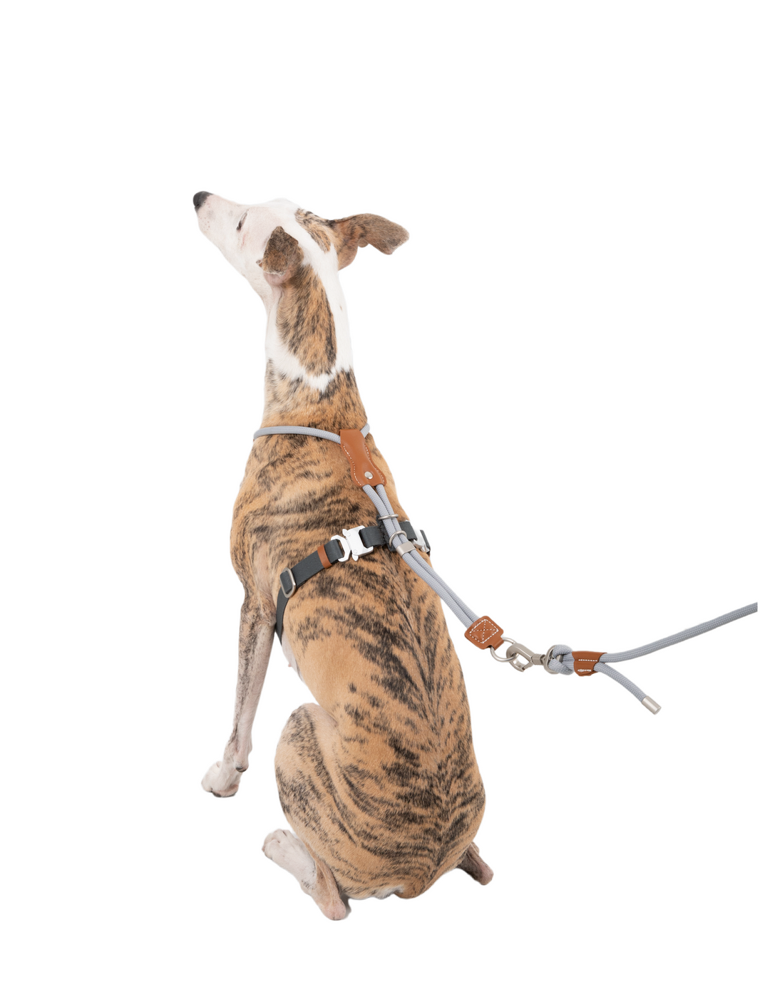 POMI Gravity Harness
