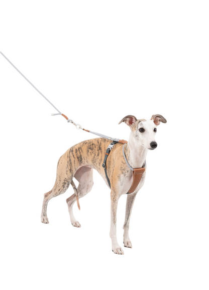 POMI Gravity Harness