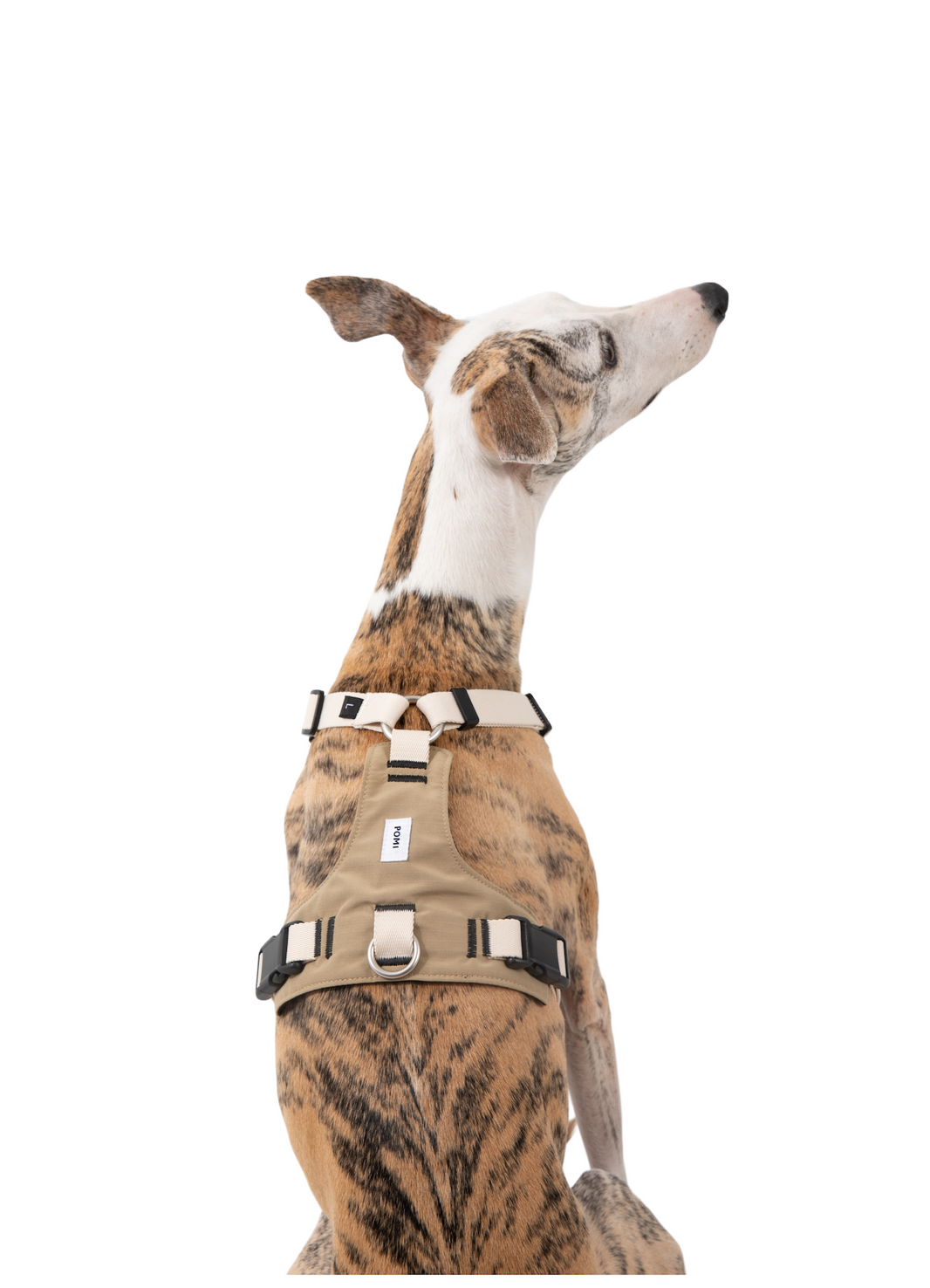 POMI Motion Balance Harness