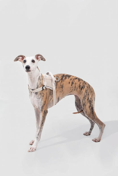 POMI Motion Control Harness