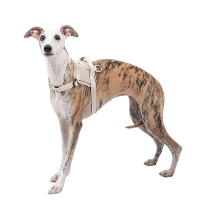 POMI Motion Control Harness