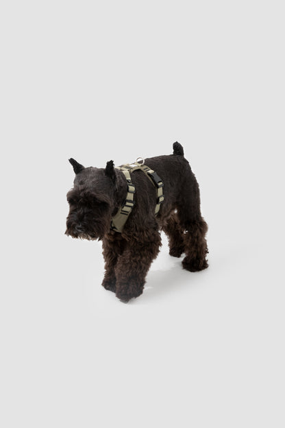 POMI Motion Balance Harness