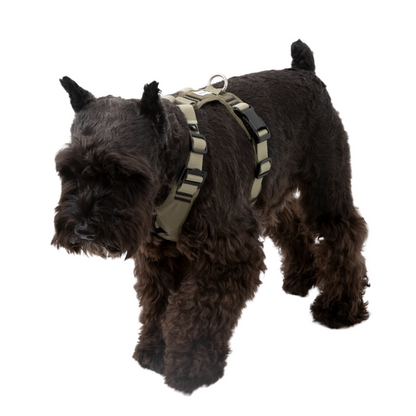POMI Motion Balance Harness