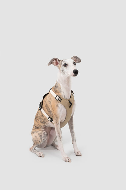 POMI Motion Balance Harness