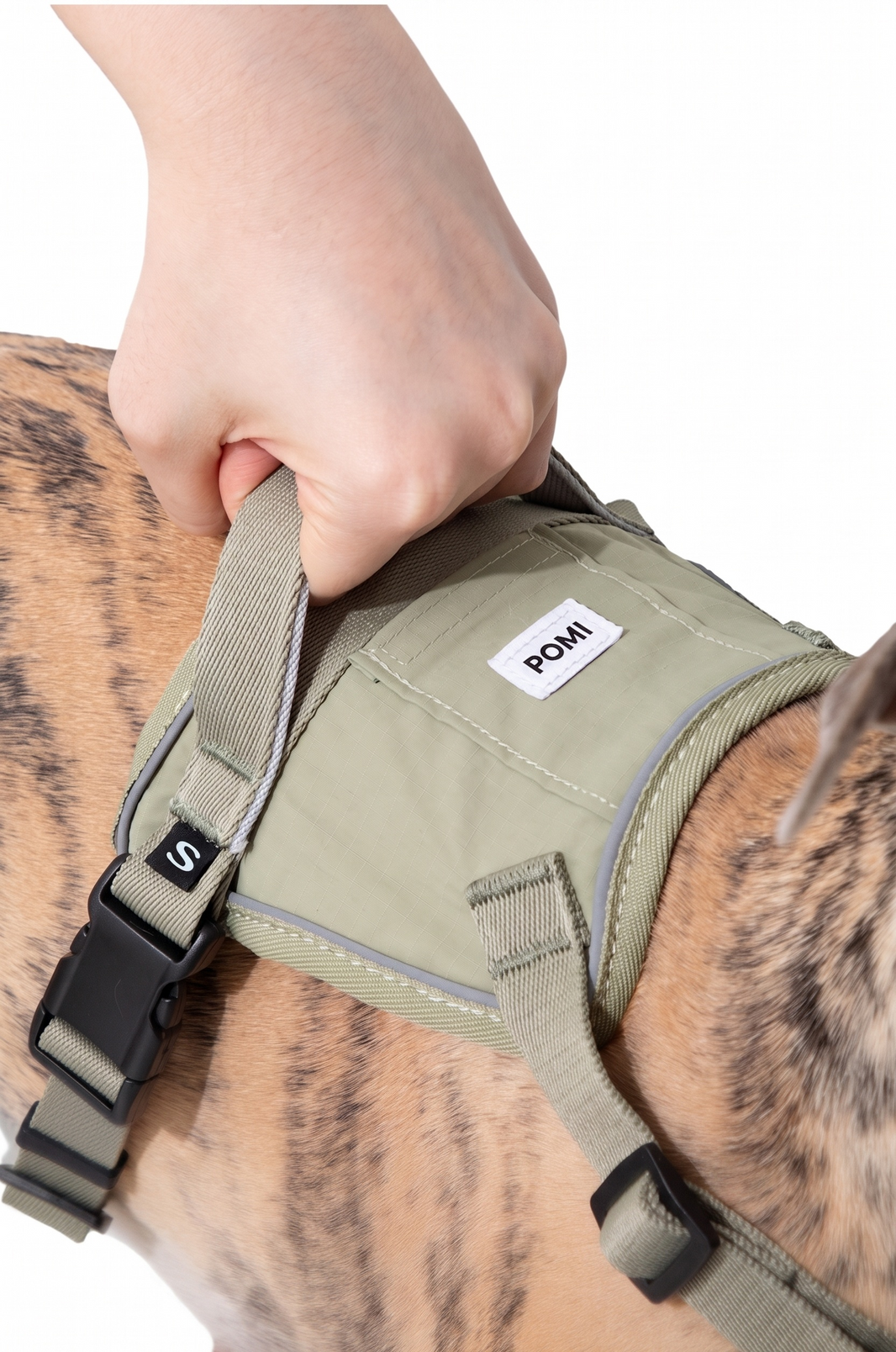 POMI Motion Control Harness