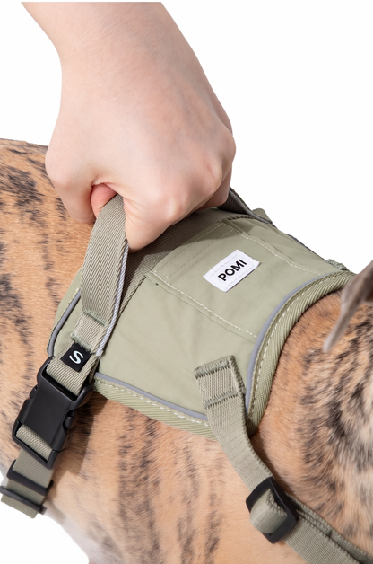 POMI Motion Control Harness