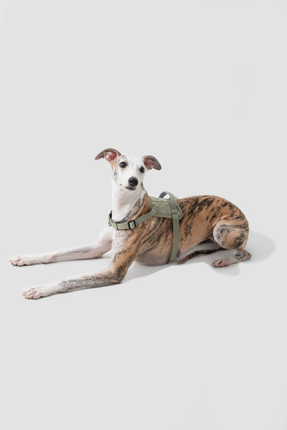 POMI Motion Control Harness
