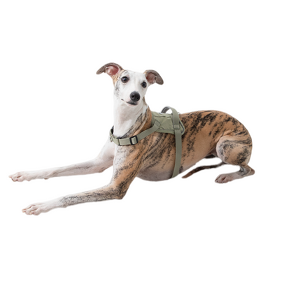POMI Motion Control Harness