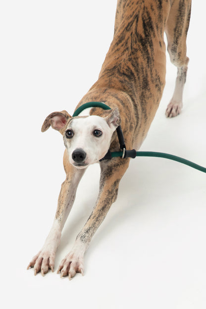 POMI Gravity Flex Control Lead