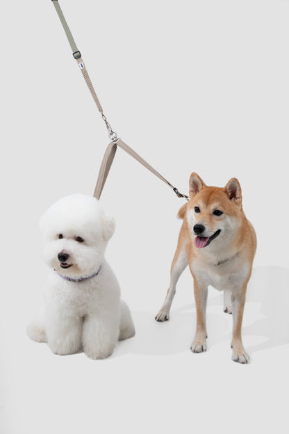 POMI Connect Dual Control Leash